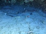 Hawaii Scuba divng 38