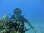 Hawaii Scuba divng 41