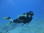 Hawaii Scuba divng 48