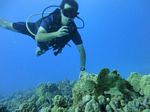 Hawaii Scuba divng 58