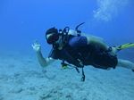 Hawaii Scuba divng 62