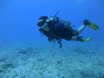 Hawaii Scuba divng 65