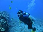 Hawaii Scuba divng 06