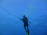 Hawaii Scuba divng 70