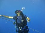 Hawaii Scuba divng 72