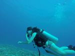 Hawaii Scuba divng 86