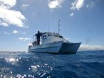 Hawaii Scuba divng 88