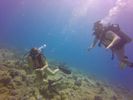 Hawaii Scuba divng 15