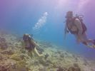 Hawaii Scuba divng 16