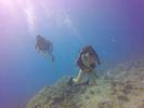 Hawaii Scuba divng 17