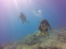 Hawaii Scuba divng 18