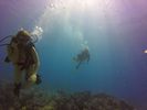 Hawaii Scuba divng 19