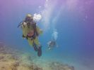 Hawaii Scuba divng 20