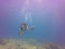 Hawaii Scuba divng 22