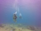 Hawaii Scuba divng 23