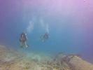 Hawaii Scuba divng 24