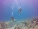 Hawaii Scuba divng 25
