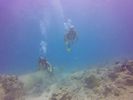 Hawaii Scuba divng 25