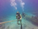 Hawaii Scuba divng 30