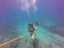 Hawaii Scuba divng 31