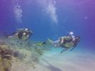 Hawaii Scuba divng 40