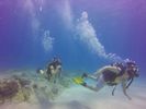 Hawaii Scuba divng 41