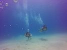 Hawaii Scuba divng 42