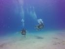 Hawaii Scuba divng 43