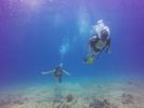 Hawaii Scuba divng 44