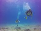 Hawaii Scuba divng 45