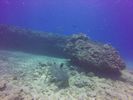 Hawaii Scuba divng 46