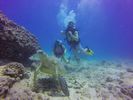 Hawaii Scuba divng 49