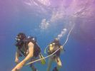 Hawaii Scuba divng 04