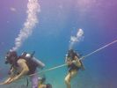 Hawaii Scuba divng 05