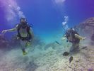 Hawaii Scuba divng 60