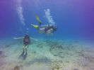 Hawaii Scuba divng 62