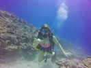 Hawaii Scuba divng 75