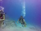 Hawaii Scuba divng 76