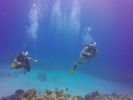 Hawaii Scuba divng 80