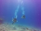 Hawaii Scuba divng 81