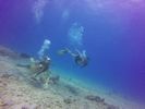 Hawaii Scuba divng 82