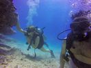 Hawaii Scuba divng 85