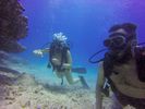 Hawaii Scuba divng 86