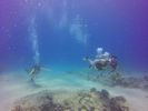 Hawaii Scuba divng 87