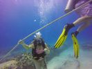 Hawaii Scuba divng 88