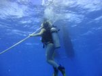 Hawaii Scuba divng 12