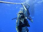 Hawaii Scuba divng 14