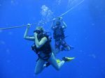 Hawaii Scuba divng 15