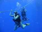 Hawaii Scuba divng 15