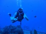 Hawaii Scuba divng 21